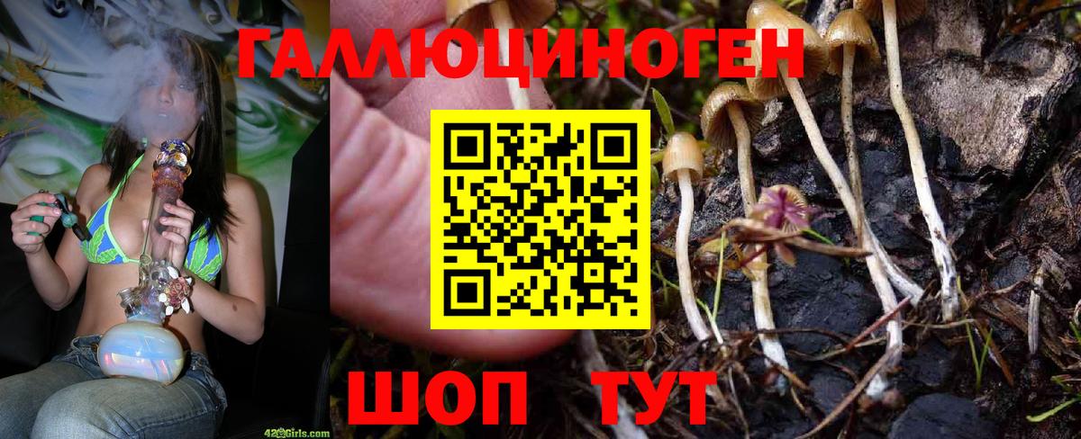Галлюциногенные грибы GOLDEN TEACHER Киров